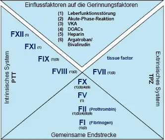 Abb. 1: Kaskadenmodell der Gerinnung für den Ablauf der Globalteste Quick und PTT (mit den Gerinnungsfaktoren FI bis FXII). Zudem inkludiert sind die Einflussfaktoren auf die Aktivitäten der Gerinnungsfaktoren. Da bei der Dilutionskoagulopathie alle Gerinnungsfaktoren betroffen sind, wurde diese in der Abbildung nicht aufgeführt (siehe Abschnitt Verdünnung)